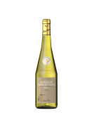 PIERRE CHANAU AOP Muscadet Sèvre & Maine sur Lie blanc 75cl