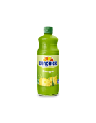 SUNQUICK ANANAS 84CL
