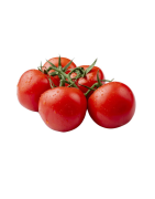 TOMATE RONDE IMPORT /KG