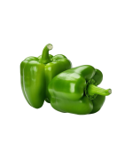 POIVRON VERT ROND /KG