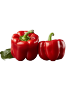 POIVRON ROUGE ROND /KG