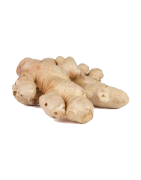 GINGEMBRE CHINE /KG