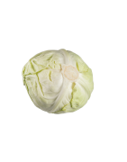 CHOU BLANC IMPORT /KG