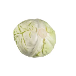 CHOU BLANC IMPORT /KG