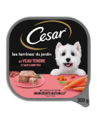 César Terrine de Veau avec carottes 300G pour chien