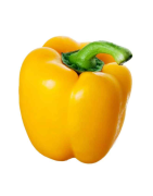 POIVRON JAUNE ROND /KG