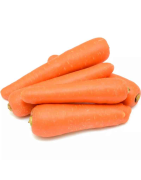 CAROTTE IMPORT/KG