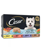 CESAR BARQUETTE SENIOR 10+