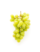 RAISIN BLANC BARQUETTE 500G