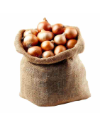 OIGNON BLANC IMPORT SAC 25KG
