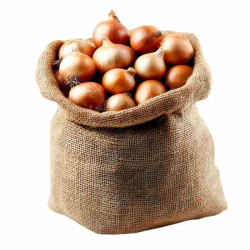 OIGNON BLANC IMPORT SAC 25KG