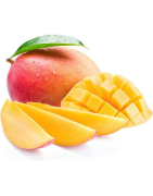 MANGUE KENT /KG