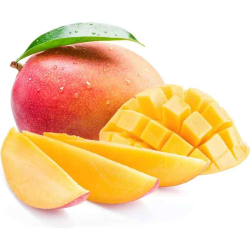 MANGUE KENT /KG