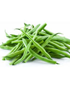 HARICOT VERT /KG
