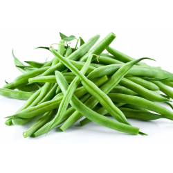 HARICOT VERT /KG