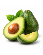 AVOCAT IMPORT / KG
