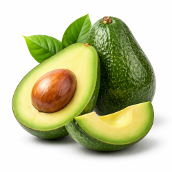 AVOCAT IMPORT / KG