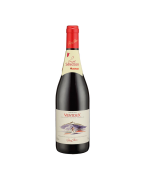 PIERRE CHANAU COTES DU VENTOUX 