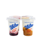 YOGHOURT DELICE FRUITS