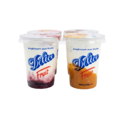 YOGHOURT DELICE FRUITS