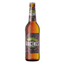 BIERE BOOSTER RACINES 50 CL 