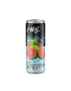 JUS GOYAVE N'WELY CANETTE 25CL