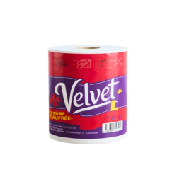 VELVET ESSUIE TOUT L 1 4