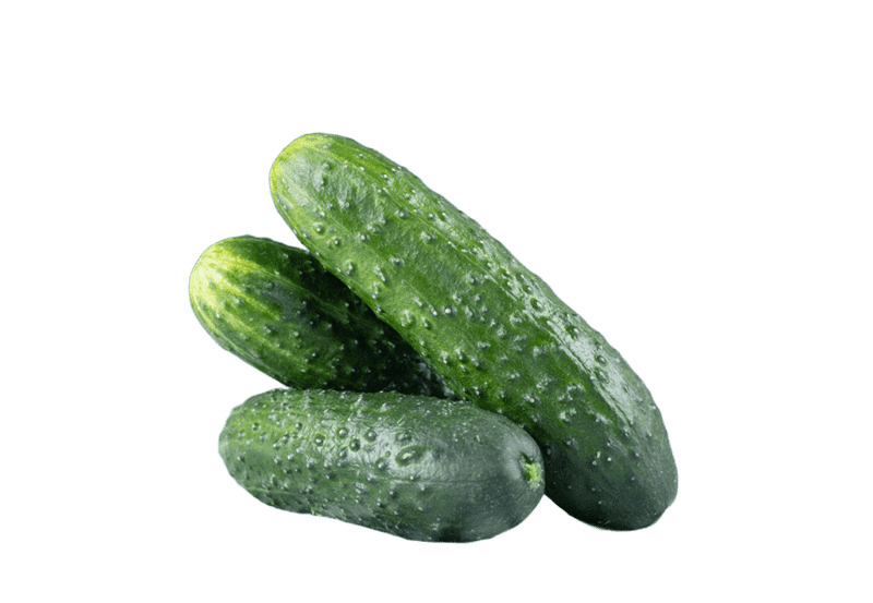 CONCOMBRE /KG