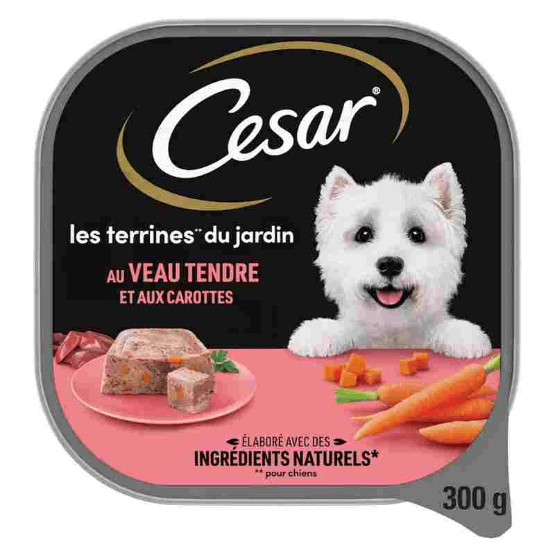 César Terrine de Veau avec carottes 300G pour chien