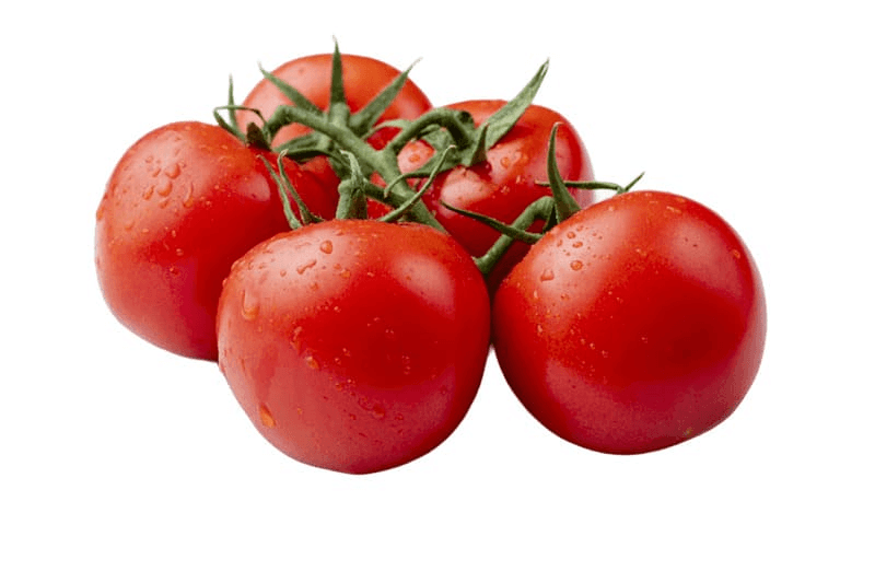 TOMATE RONDE IMPORT /KG
