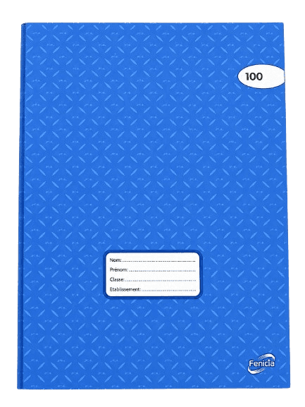 CAHIER PIQ 17*22 70G SEYES