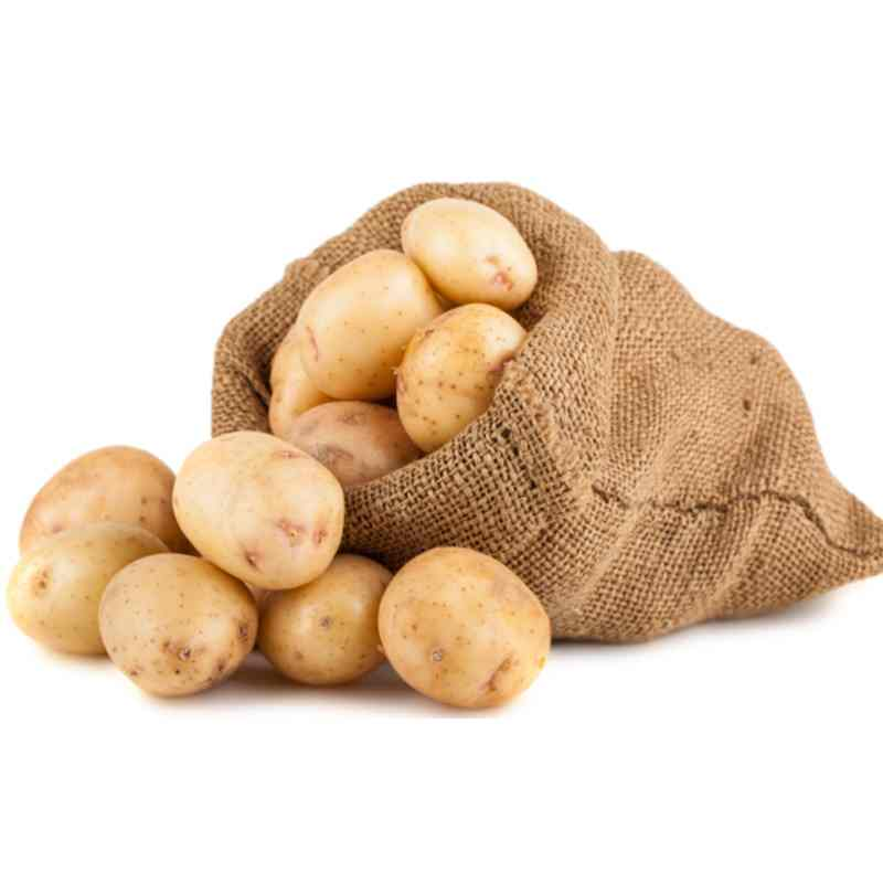 ZESLIV Plant Sack 3pcs Sacs De Culture Pommes De Terre - Sacs Plantes Respirants 1 à 20 Gallons